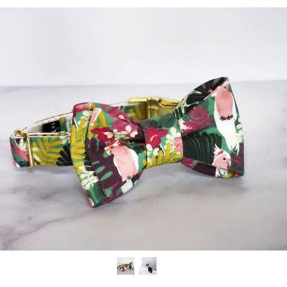 Trax Ties dog collar